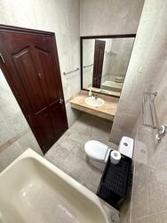 Tanglin Regency (D10), Condominium #470551121